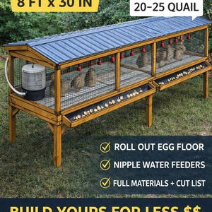 Puede incluir: Plano de jaula para codornices elevada de madera con techo de metal azul, diseñada para albergar de 20 a 25 codornices. La jaula mide 2,44 m de largo y 76 cm de ancho, con suelo para huevos enrollable y bebederos de tetina. El texto dice "Build Yours For Less $$ - Digital Download PDF Plans."
