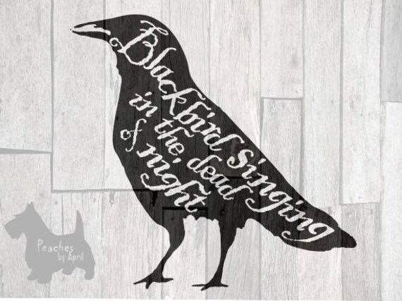 Beatles Blackbird Cricut SVG cut file rustic crow raven the | Etsy