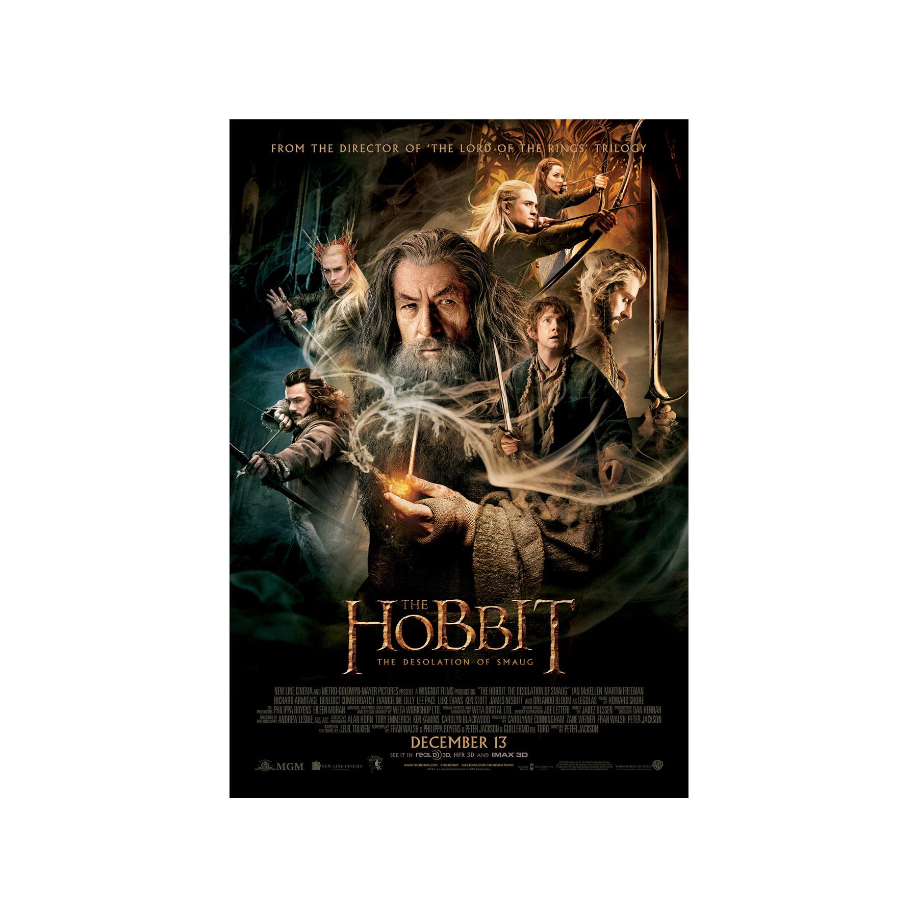 The Hobbit: the Desolation of Smaug MOVIE POSTER 2 Sided ORIGINAL Final  27x40 - Etsy, image size:1800x1800