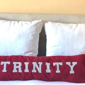 Applique Pillow Cover College Dorm Throw Pillows for Beds, Graduation Gifts for Her Trinity College Pillows