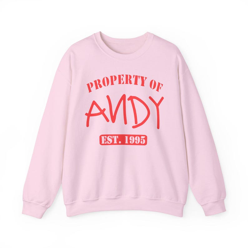 Property of Andy Sweatshirt, Toy Story Pixar Pullover, Disney Fan Gift image 8