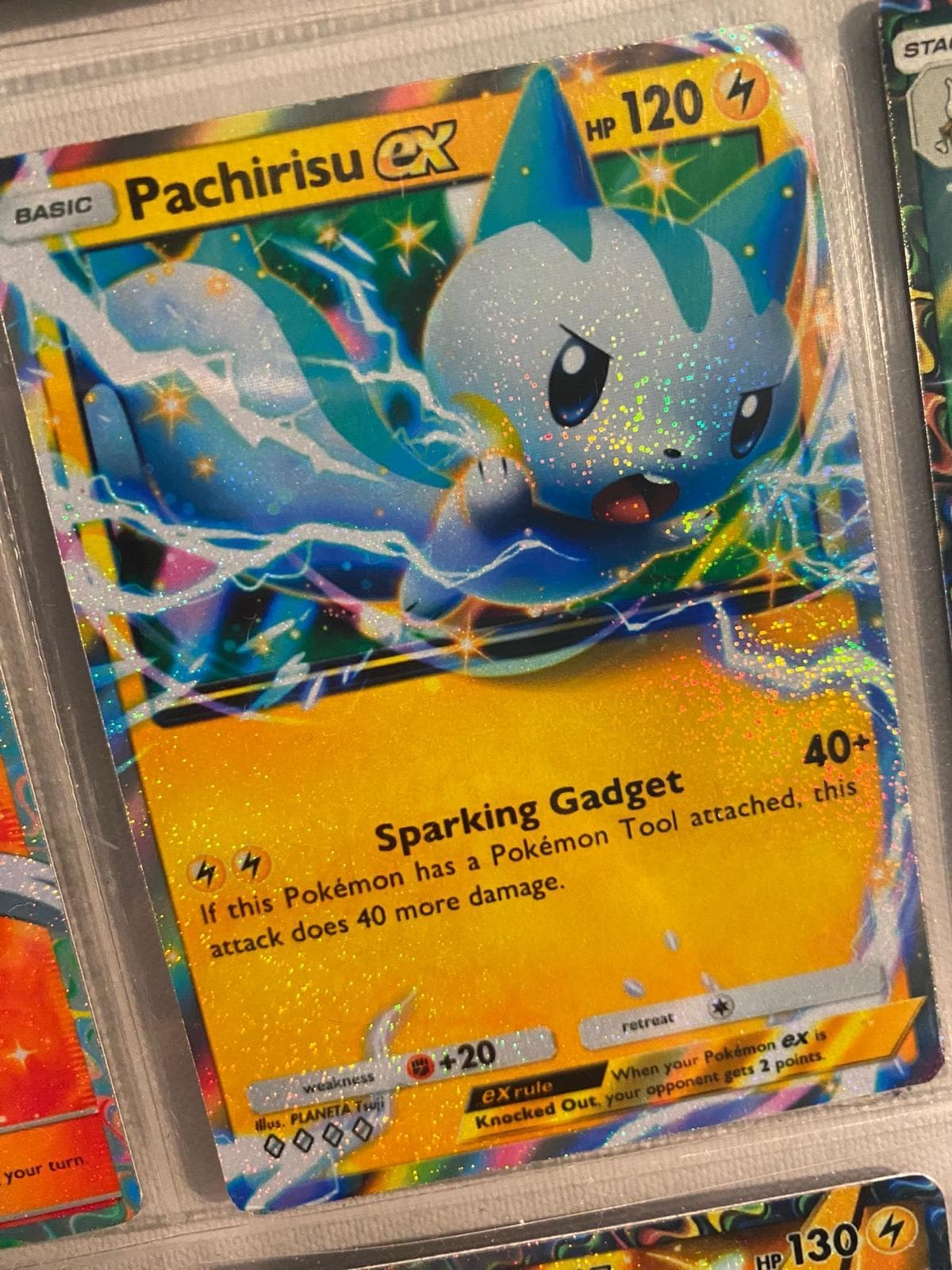 Pachirisu Promo Card - Etsy UK