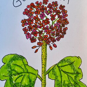 Individuele wenskaart - bloemencollectie