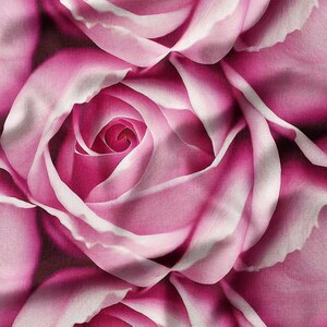 Elegant Pink Roses Macro Print Cotton Fabric by the Yard - Perfect Floral Design for Women&#39;s Apparel, Quilting, and Home Decor
