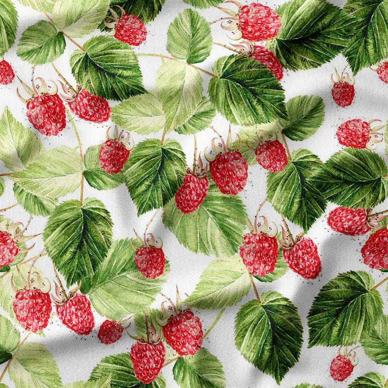 Raspberry Decor - Etsy