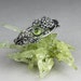 see more listings in the Nature Inspired Rings section