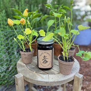 Root Remedy - An All Natural Chemical Free Worm Compost Based Plant Fertilizer aka Compost Tea, Food for Plants