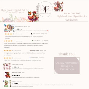 Pu&ograve; includere: Logo Digital Pixi Studio con testo "High-Quality Digital Art for Creative Projects". Include pacchetti di clipart e recensioni dei clienti. L'immagine presenta illustrazioni colorate di ragazze e farfalle.