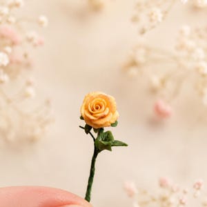 Może przedstawiać: Miniaturowa żółta róża z cienką zieloną łodygą i małymi zielonymi listkami. Róża posiada ciasno ułożone płatki w delikatnym żółtym odcieniu, przymocowane do smukłej, teksturowanej zielonej łodygi, która biegnie w dół od podstawy kwiatu.