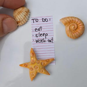 Fridge magnets set of 3, handmade from polymer clay