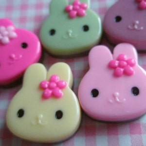 B Grade Chocolate Bunny Cabochon Set 5pcs (These are not in perfect condition,please read the description below)