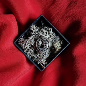 Puede incluir: Un anillo plateado con un diseño de luna creciente y rostro, presentado en una caja negra llena de musgo seco, sobre un fondo rojo vibrante. El rostro del anillo tiene detalles. La estética general es gótica y celestial.