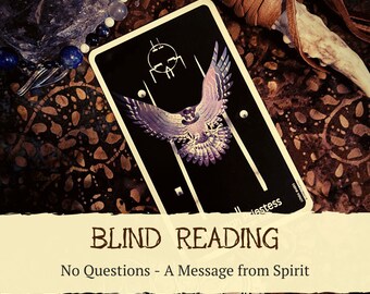 Blind Reading - Tarot Reading Message from your Spirit Guide