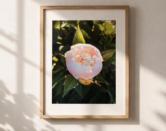 Film Inspired Pink Peony Wall Art Print, Moody Floral Photography Download, Vintage Flower Photo Printable, Cottagecore Botanical Decor