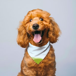 Hunde Bandana Mockup Transparent Doodle Hund Benutzerdefinierte Haustier Bandana Kragen Realistischer Haustier Schal Design PNG JPG Mockups Canva bearbeitbare Kragenauflage