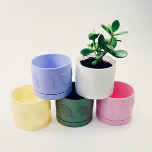 Embossed Leaf Plant Pot with Drip Tray - 9cm