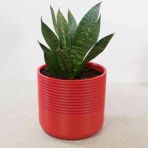 Magenta Pink Ribbed Plant Pot with Drip Tray