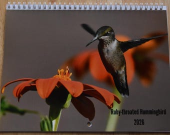 2026 Hummingbird Wall Calendar, Original Photography, Minnesota Nature
