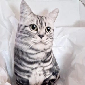 Puede incluir: Un juguete de peluche de gato rayado gris y blanco en una caja blanca con papel de seda. El gato está sentado con las orejas levantadas y los ojos abiertos.