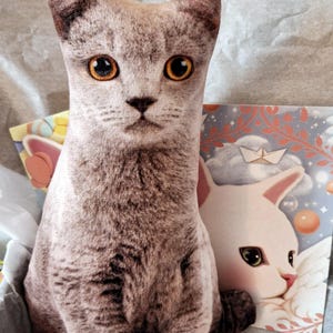 Gatito. Un conjunto único y dulce, diseñado para los amantes de los gatitos.