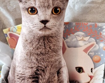 Gatito. Un conjunto único y dulce, diseñado para los amantes de los gatitos.