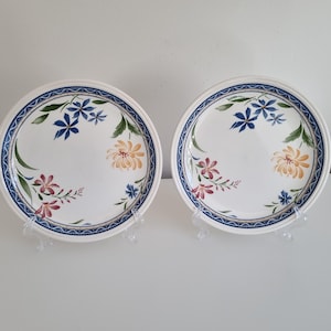 Assiettes à motif floral du Staffordshire, Angleterre*