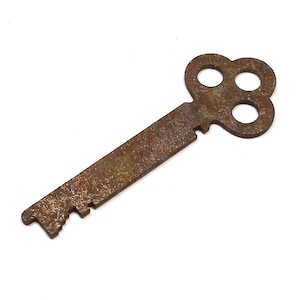 May include: A rusty metal key with a clover-shaped head and a serrated edge.