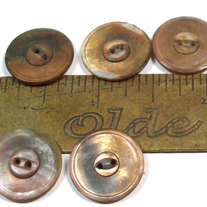 1930s shell BUTTONS. 5 Mother-of-pearl. 5/8. image 2