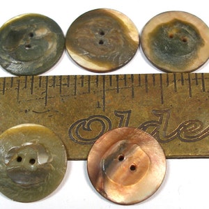 1930s shell BUTTONS. 5 Mother-of-pearl. 5/8. image 3