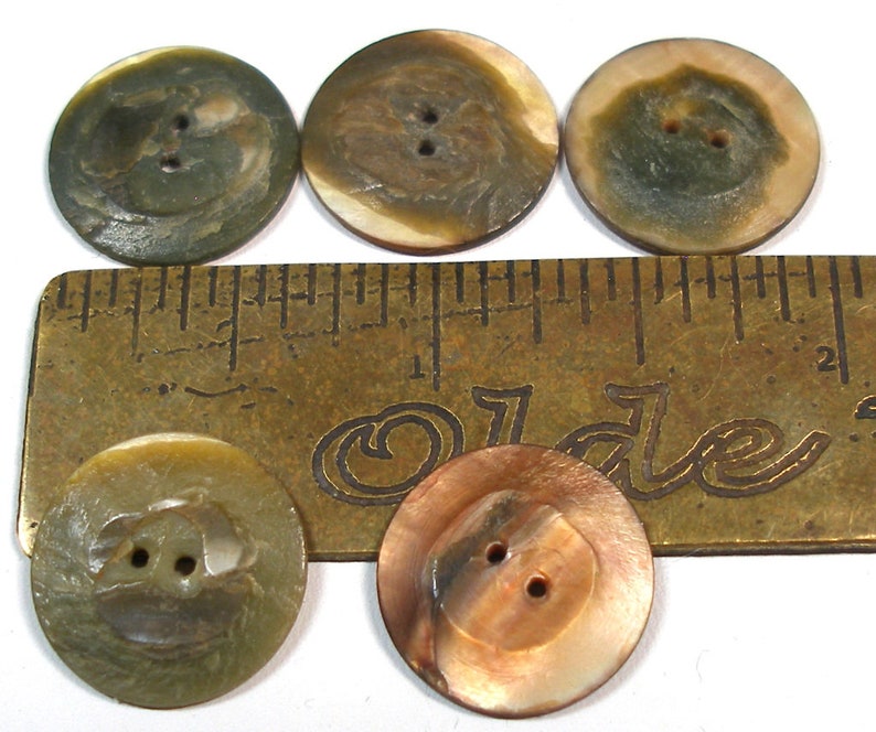 1930s shell BUTTONS. 5 Mother-of-pearl. 5/8. image 3