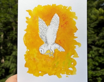 Barn Owl Note Card (blank inside)