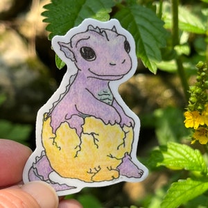 Hatchling Dragon 3&quot; vinyl sticker, water-resistant