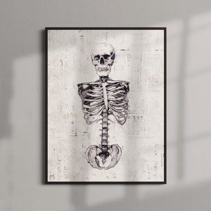 Skeleton Art Print, Skeleton Poster, Anatomical Skeleton, Gothic Art, Minimalist Skeleton, Skeleton Wall Decor, Vintage Skeleton Wall Decor