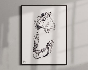 Jawbone Art Print, Skull Illustration, Anatomical Jaw, Gothic Art, Minimalist Skeleton Poster, Skeleton Wall Decor, Vintage Skull Wall Decor