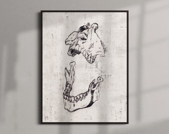 Jawbone Art Print, Skull Illustration, Anatomical Jaw, Gothic Art, Minimalist Skeleton Print, Skeleton Wall Decor, Vintage Skull Wall Decor