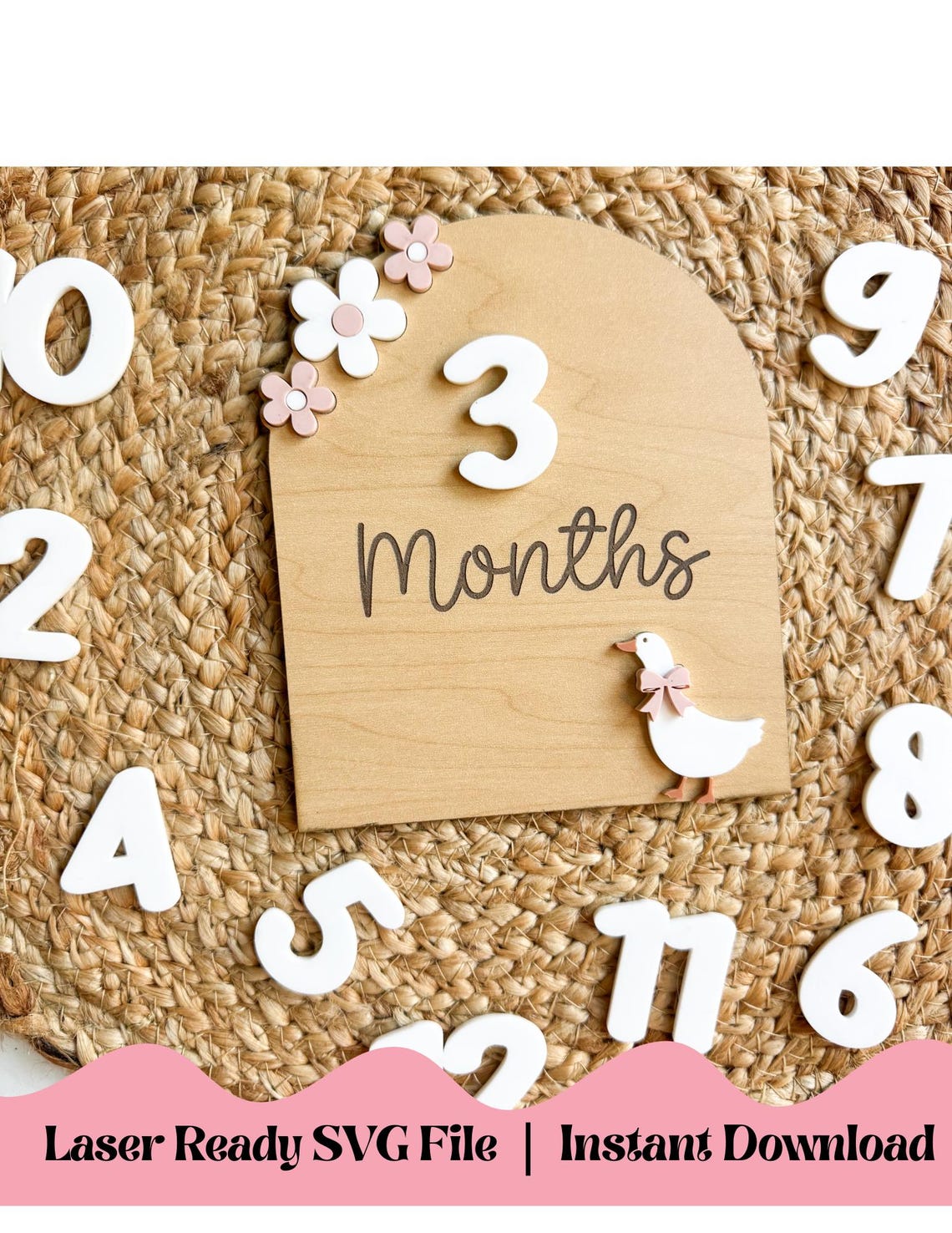 Baby Girl Milestone Sign SVG | Monthly Photo Prop | Interchangeable ...