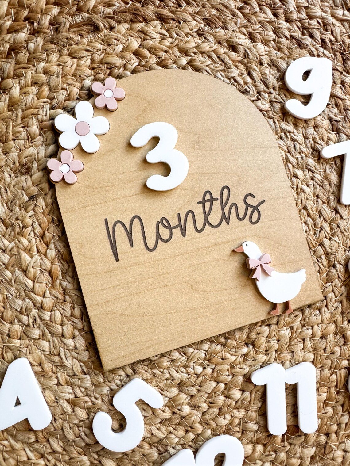 Baby Girl Milestone Sign SVG | Monthly Photo Prop | Interchangeable ...