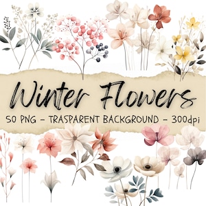 50 guirlandes de fleurs aquarelle Collection Clipart, fleurs d'hiver, clipart floral, prairie, carnet de plantes frontière botanique
