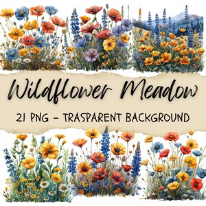 21 Wildblumen Clipart, Wildblumen Wiese Png, Blumen Clipart, Botanicals Border Stickers, Sukkulenten, Plant Journal