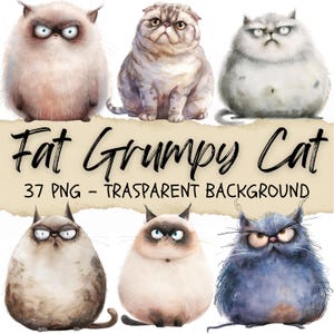 37 Fat Cat Clipart, Grumpy Cats, Funny Animal Png, Watercolor Stickers, Junk Journal Pet Clipart, Angry Cartoon Graphics