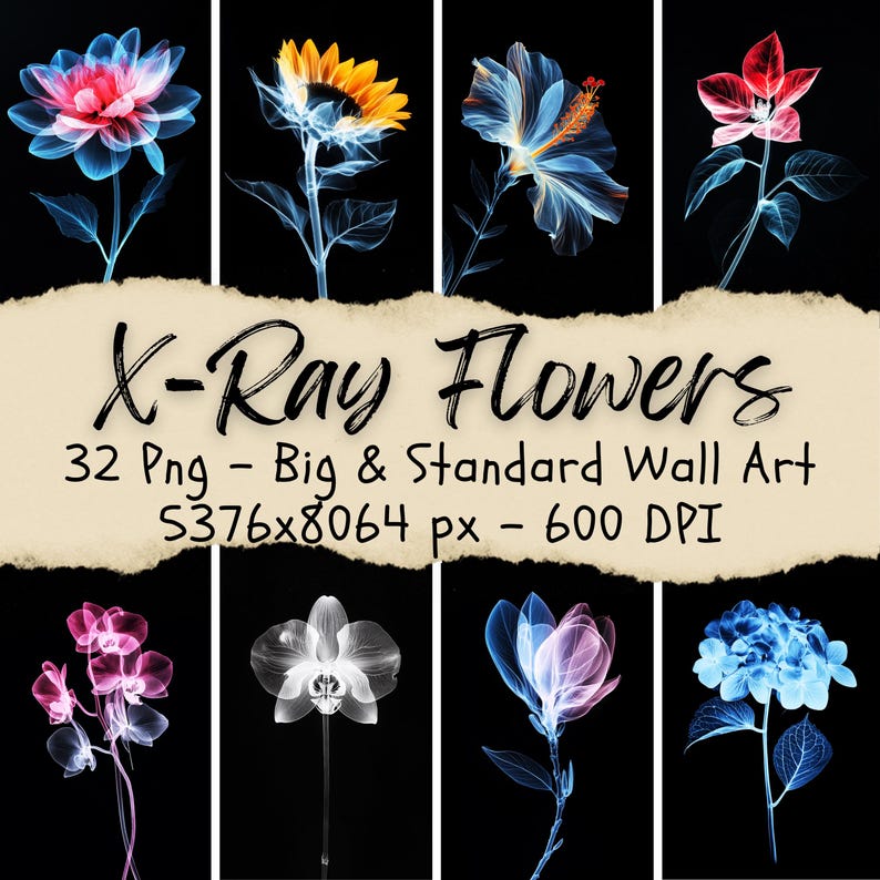 X Rayed Flowers 32 X Ray Flower, X-ray Flower Art Line Drawing Cyberpunk Floral ...