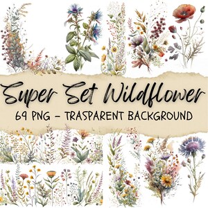 Ensemble de 69 prairies, fleurs sauvages, clipart floral, prairie Png, clipart jardin, bordure de plantes succulentes, carnet de notes