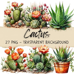 27 cliparts de cactus, images de cactus, clipart autocollants fleurs cactus, aquarelle du désert de nature succulente, journal indésirable