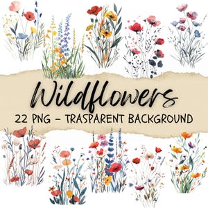 22 Wildblumen Clipart, Wildblumen Wiese Png, Blumen Clipart, Botanicals Border Stickers, Sukkulenten, Plant Journal