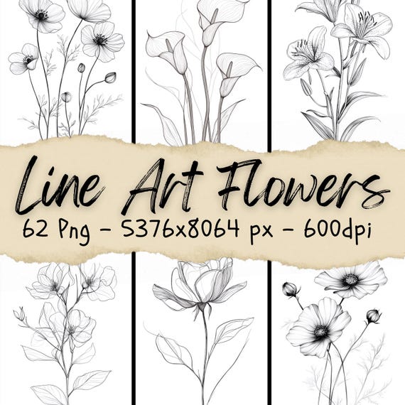 Line Drawings Of Different Flowers