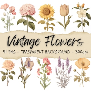 41 Clipart de collection de guirlandes de fleurs aquarelles, fleurs vintage, Clipart floral, journal végétal de bordure de prairie botanique