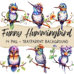 14 Clipart di colibrì, fiore di colibrì png, clipart di uccelli, opere d'arte di animali, adesivi diario spazzatura, download immediato