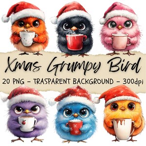 20 Pássaro Clipart Gordo Grumpy Bird Natal Clipart, Papai Noel, Ano Novo Feliz Natal, Adesivos de Natal, Diário de Lixo