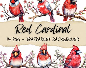 Red Cardinal Watercolor Clipart, Bird PNG, Junk Journal (Digital Download)