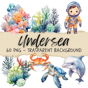 60 imágenes prediseñadas submarinas, imágenes prediseñadas de criatura marina, concha png, concha marina, ola, vibraciones de verano, coral, océano, pesca, diario basura